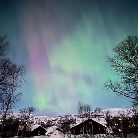 Casa de Férias Hytta Haukelifjell Skisenter