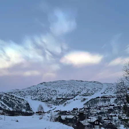 Casa de Férias Hytta Haukelifjell Skisenter *