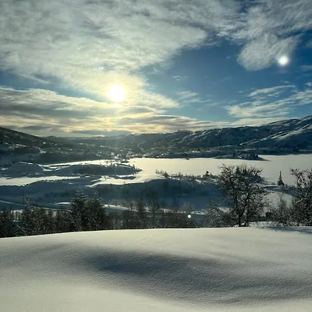 Feriehus Hytta Haukelifjell Skisenter Vågsli