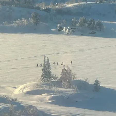 Holiday home Hytta Haukelifjell Skisenter Vagslivatnet