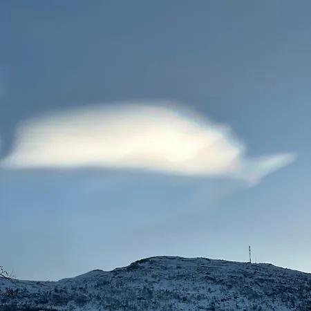 Hytta Haukelifjell Skisenter Holiday home *